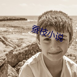 蚕枝小(xiǎo)说