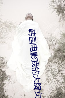 韩国(國)电影我的大胸(胸)女友(友)