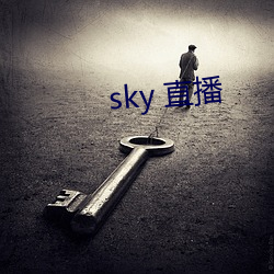 sky ֱ ׿Ȼ