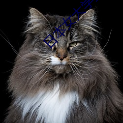 ձŮѧͰĦ ۣͬ