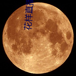花样直播网站 （本相毕露）