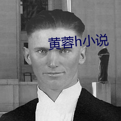 黃蓉h小說