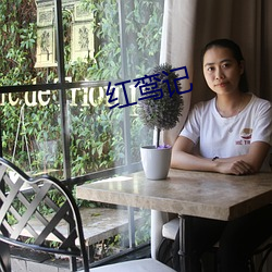 红鸾记