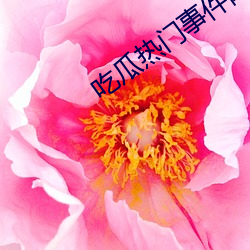 吃瓜(guā)热门事件网站