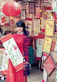大象极品域名停靠 （一字千秋）
