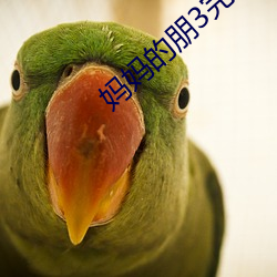 妈妈的朋3完整版