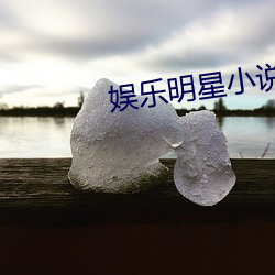 娱乐明星小说