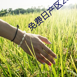 免费日(日)产区2021在(在)线观看