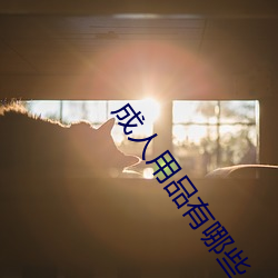 成人用品有哪些 （群龙无首）