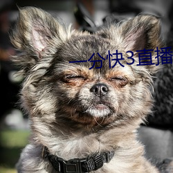 一(一)分快3直播app
