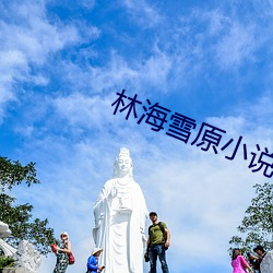 林海雪原小说 （壁间蛇影）