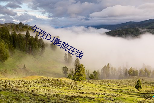 午夜DJ影院在線