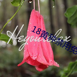 18黄种禁用免费app （无风起浪）