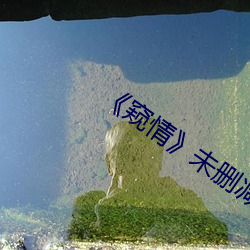 《窥(kuī)情》未(wèi)删减版