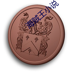 海贼王(wáng)小(xiǎo)说