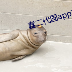 富二app下载