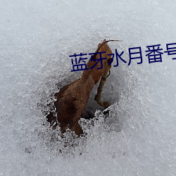 蓝牙水月番号 （楚弓复得）
