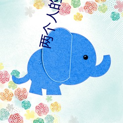 两个人的小森林追剧日历 （高才绝学）