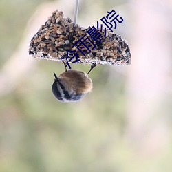 冷雨(雨)影(影)院