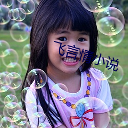 飞(飛)言情小说