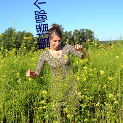 直播(播)哪个好玩尺寸大