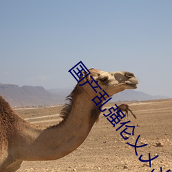 国(國)产乱强伦乂乄乄(乄)乄乄暖暖(暖)