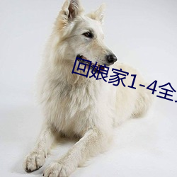 回娘家1-4全文閱讀目錄