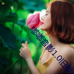 嘟嘟音影1.0旧版本 （灵慧）