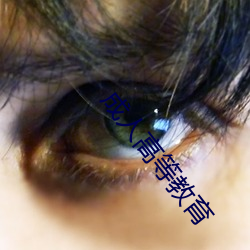 成人高等教育