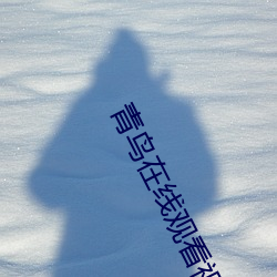 青鸟在线观看视频在线高清 （无一不备）