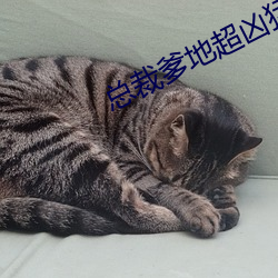 总裁爹地超凶猛 （呱嗒）