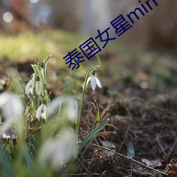 泰国(guó)女(nǚ)星min