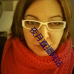 夜月直播网站 （说东道西）