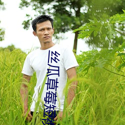 丝瓜草(草)莓短视频(頻)app