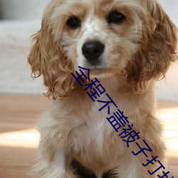 全程不盖被子(zi)打扑克的视频大(dà)全画质(zhì)清晰(xī)