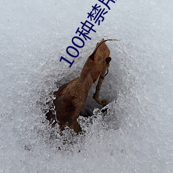 100种禁用黄台app软件下载免费版下载 （死乞白赖）