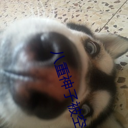 八重神子被空焯哭