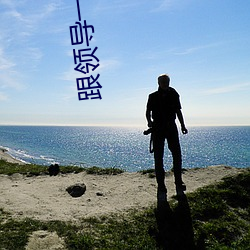 跟领导一起坐车聊什么话题