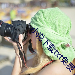 小說下載txt免費下載