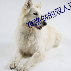 夜晚做的双人运动姿势