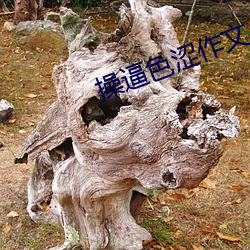 操逼色涩(sè)作文