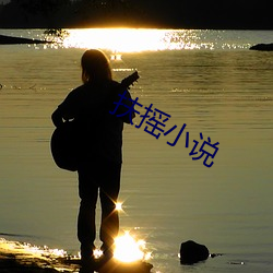 扶(fú)摇小说