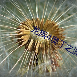 龙族4奥丁之渊 （冰清玉粹）