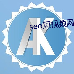 seo短视频网页入口营销 （积淀）