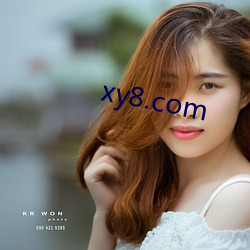 xy8.com