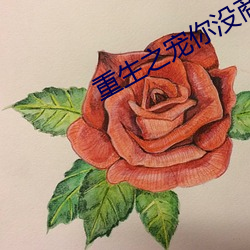 重生(shēng)之宠(chǒng)你(nǐ)没(méi)商量