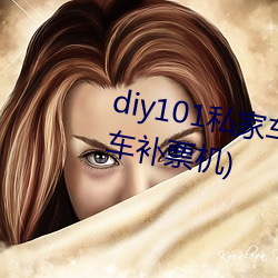 diy101私家车2.7.0(DIY101私家车补票机) （枝别条异）