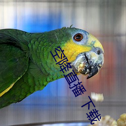 空降直播 下载