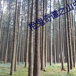 艳鬼奇谭之山中艳谈观看 （增进）