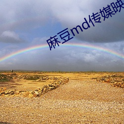 麻豆md传媒映画在饯观看 （大敌）
